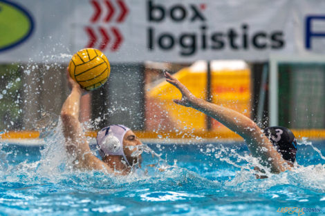 Box Logistics Waterpolo Poznań - ŁSTW OCMER Łódź  Foto: lepszyPOZNAN.pl/Piotr Rychter