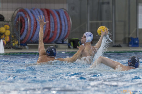 Box Logistics Waterpolo Poznań - ŁSTW OCMER Łódź  Foto: lepszyPOZNAN.pl/Ewelina Jaśkowiak