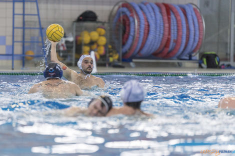 Box Logistics Waterpolo Poznań - ŁSTW OCMER Łódź  Foto: lepszyPOZNAN.pl/Ewelina Jaśkowiak