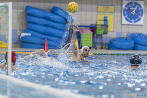 Box Logistics Waterpolo Poznań - ŁSTW OCMER Łódź  Foto: lepszyPOZNAN.pl/Ewelina Jaśkowiak