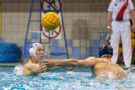 Box Logistics Waterpolo Poznań - ŁSTW OCMER Łódź  Foto: lepszyPOZNAN.pl/Piotr Rychter