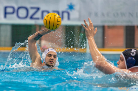 Box Logistics Waterpolo Poznań - ŁSTW OCMER Łódź  Foto: lepszyPOZNAN.pl/Piotr Rychter