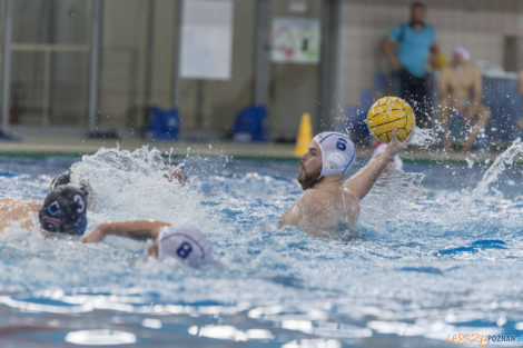 Box Logistics Waterpolo Poznań - ŁSTW OCMER Łódź  Foto: lepszyPOZNAN.pl/Ewelina Jaśkowiak