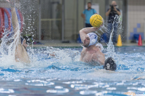 Box Logistics Waterpolo Poznań - ŁSTW OCMER Łódź  Foto: lepszyPOZNAN.pl/Ewelina Jaśkowiak