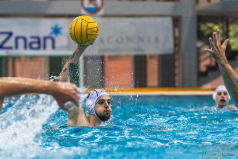 Box Logistics Waterpolo Poznań - ŁSTW OCMER Łódź  Foto: lepszyPOZNAN.pl/Piotr Rychter