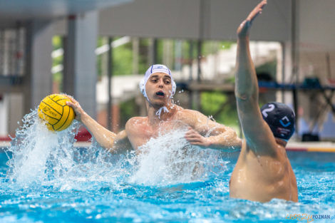 Box Logistics Waterpolo Poznań - ŁSTW OCMER Łódź  Foto: lepszyPOZNAN.pl/Piotr Rychter