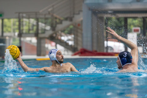 Box Logistics Waterpolo Poznań - ŁSTW OCMER Łódź  Foto: lepszyPOZNAN.pl/Piotr Rychter