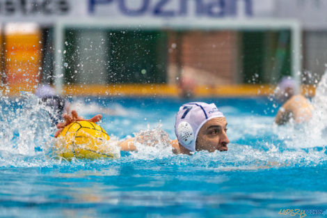 Box Logistics Waterpolo Poznań - ŁSTW OCMER Łódź  Foto: lepszyPOZNAN.pl/Piotr Rychter