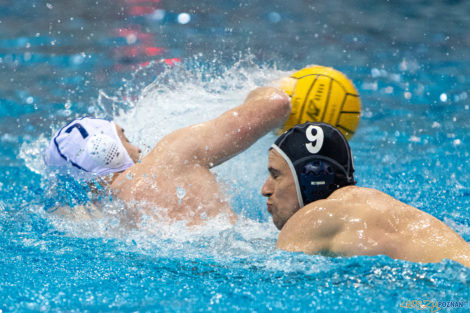 Box Logistics Waterpolo Poznań - ŁSTW OCMER Łódź  Foto: lepszyPOZNAN.pl/Piotr Rychter