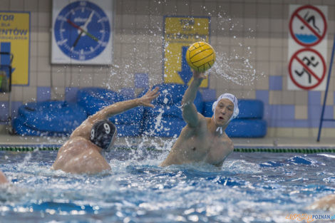 Box Logistics Waterpolo Poznań - ŁSTW OCMER Łódź  Foto: lepszyPOZNAN.pl/Ewelina Jaśkowiak