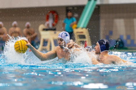 Box Logistics Waterpolo Poznań - ŁSTW OCMER Łódź  Foto: lepszyPOZNAN.pl/Piotr Rychter