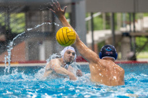 Box Logistics Waterpolo Poznań - ŁSTW OCMER Łódź  Foto: lepszyPOZNAN.pl/Piotr Rychter