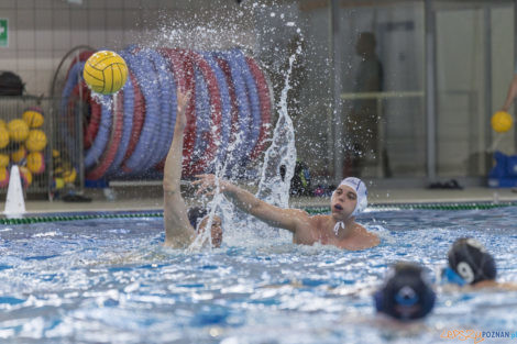 Box Logistics Waterpolo Poznań - ŁSTW OCMER Łódź  Foto: lepszyPOZNAN.pl/Ewelina Jaśkowiak