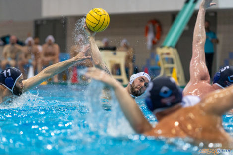 Box Logistics Waterpolo Poznań - ŁSTW OCMER Łódź  Foto: lepszyPOZNAN.pl/Piotr Rychter