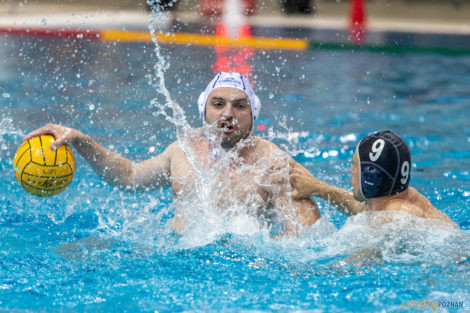 Box Logistics Waterpolo Poznań - ŁSTW OCMER Łódź  Foto: lepszyPOZNAN.pl/Piotr Rychter