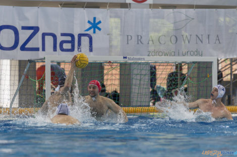 Box Logistics Waterpolo Poznań - ŁSTW OCMER Łódź  Foto: lepszyPOZNAN.pl/Ewelina Jaśkowiak