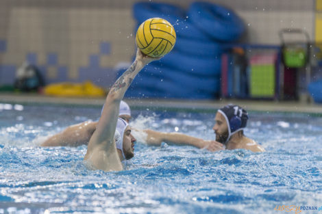 Box Logistics Waterpolo Poznań - ŁSTW OCMER Łódź  Foto: lepszyPOZNAN.pl/Ewelina Jaśkowiak