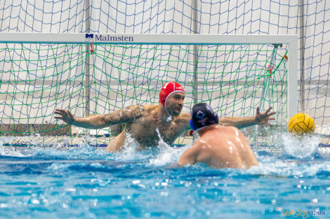 Box Logistics Waterpolo Poznań - ŁSTW OCMER Łódź  Foto: lepszyPOZNAN.pl/Piotr Rychter