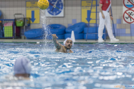 Box Logistics Waterpolo Poznań - ŁSTW OCMER Łódź  Foto: lepszyPOZNAN.pl/Ewelina Jaśkowiak