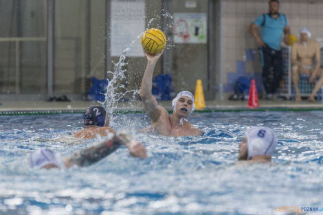 Box Logistics Waterpolo Poznań - ŁSTW OCMER Łódź  Foto: lepszyPOZNAN.pl/Ewelina Jaśkowiak