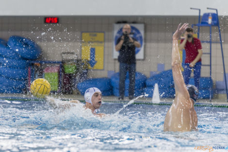 Box Logistics Waterpolo Poznań - ŁSTW OCMER Łódź  Foto: lepszyPOZNAN.pl/Ewelina Jaśkowiak