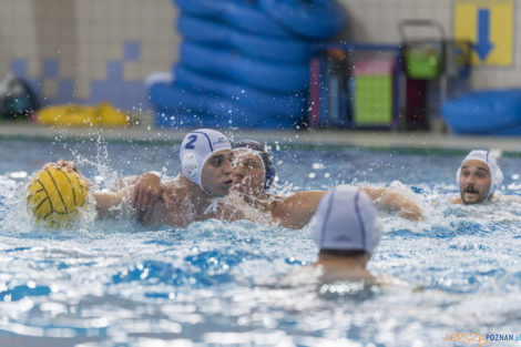 Box Logistics Waterpolo Poznań - ŁSTW OCMER Łódź  Foto: lepszyPOZNAN.pl/Ewelina Jaśkowiak