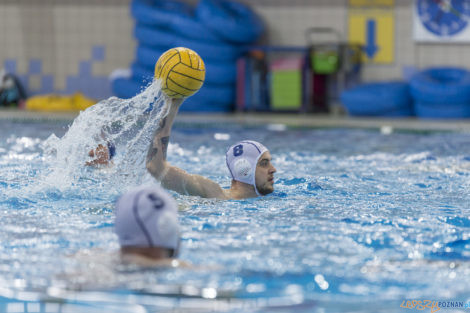 Box Logistics Waterpolo Poznań - ŁSTW OCMER Łódź  Foto: lepszyPOZNAN.pl/Ewelina Jaśkowiak