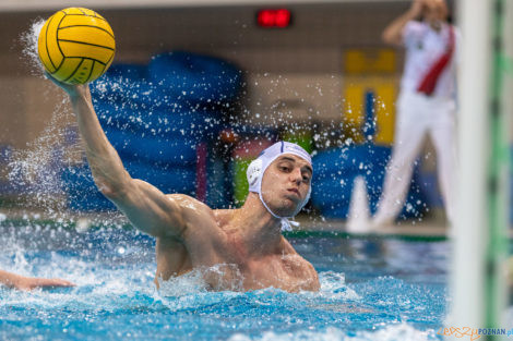 Box Logistics Waterpolo Poznań - ŁSTW OCMER Łódź  Foto: lepszyPOZNAN.pl/Piotr Rychter