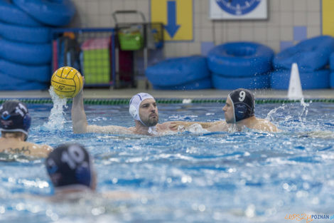 Box Logistics Waterpolo Poznań - ŁSTW OCMER Łódź  Foto: lepszyPOZNAN.pl/Ewelina Jaśkowiak