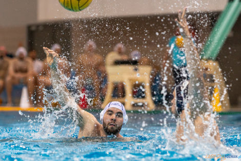 Box Logistics Waterpolo Poznań - ŁSTW OCMER Łódź  Foto: lepszyPOZNAN.pl/Piotr Rychter