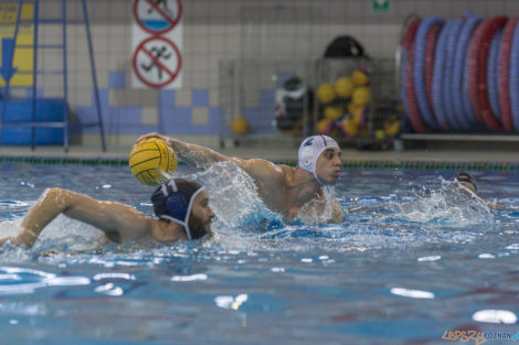 Box Logistics Waterpolo Poznań - ŁSTW OCMER Łódź  Foto: lepszyPOZNAN.pl/Ewelina Jaśkowiak