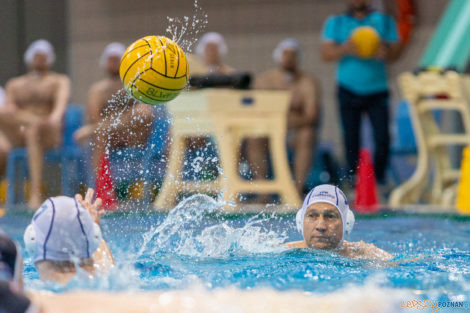 Box Logistics Waterpolo Poznań - ŁSTW OCMER Łódź  Foto: lepszyPOZNAN.pl/Piotr Rychter