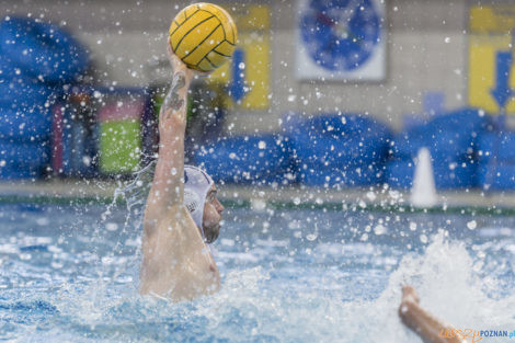 Box Logistics Waterpolo Poznań - ŁSTW OCMER Łódź  Foto: lepszyPOZNAN.pl/Ewelina Jaśkowiak