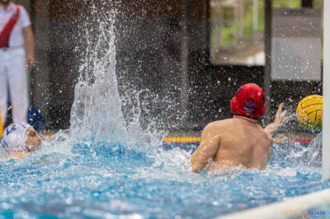 Box Logistics Waterpolo Poznań - ŁSTW OCMER Łódź  Foto: lepszyPOZNAN.pl/Piotr Rychter