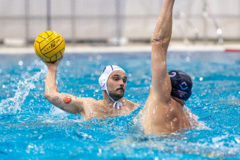 Box Logistics Waterpolo Poznań - ŁSTW OCMER Łódź  Foto: lepszyPOZNAN.pl/Piotr Rychter