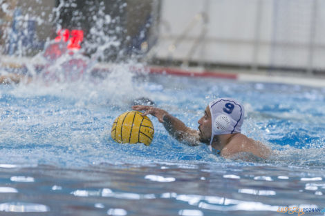 Box Logistics Waterpolo Poznań - ŁSTW OCMER Łódź  Foto: lepszyPOZNAN.pl/Ewelina Jaśkowiak