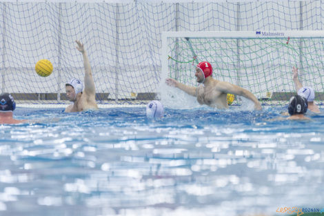 Box Logistics Waterpolo Poznań - ŁSTW OCMER Łódź  Foto: lepszyPOZNAN.pl/Ewelina Jaśkowiak