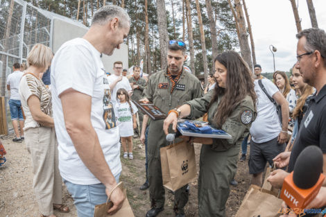 "Naturalne historie.Tygrysy" Nowe ZOO 04.07.21  Foto: lepszyPOZNAN.pl/Ewelina Jaśkowiak