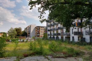 Stara Rzeźnia - Wzgórze Św. Wojciecha - park  Foto: 