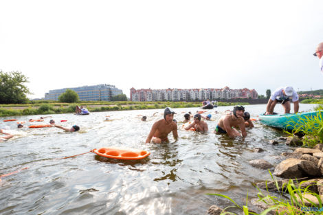 VII Sztafeta pływacka "Płyniemy dla Chojraków"  Foto: lepszyPOZNAN.PL/Piotr Rychter