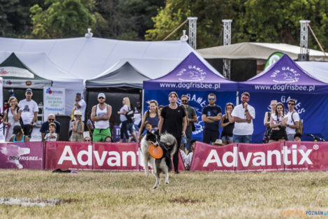 Latające Psy  Foto: lepszyPOZNAN.pl/Ewelina Jaśkowiak