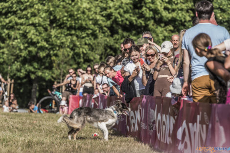 Latające Psy  Foto: lepszyPOZNAN.pl/Ewelina Jaśkowiak