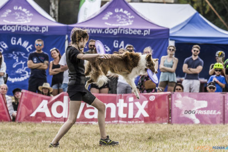 Latające Psy  Foto: lepszyPOZNAN.pl/Ewelina Jaśkowiak