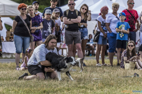 Latające Psy  Foto: lepszyPOZNAN.pl/Ewelina Jaśkowiak