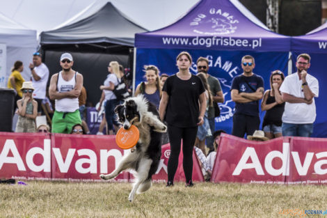 Latające Psy  Foto: lepszyPOZNAN.pl/Ewelina Jaśkowiak