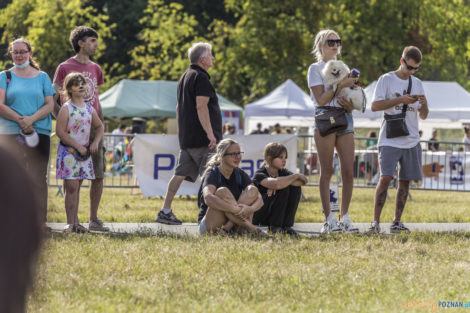 Latające Psy  Foto: lepszyPOZNAN.pl/Ewelina Jaśkowiak