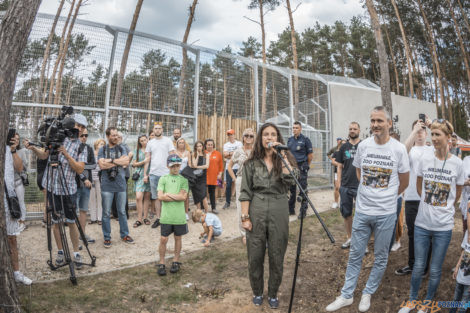 "Naturalne historie.Tygrysy" Nowe ZOO 04.07.21  Foto: lepszyPOZNAN.pl/Ewelina Jaśkowiak