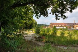 Stara Rzeźnia - Wzgórze Św. Wojciecha - park  Foto: 