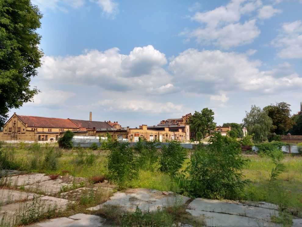 Stara Rzeźnia - Wzgórze Św. Wojciecha - park  Foto: 