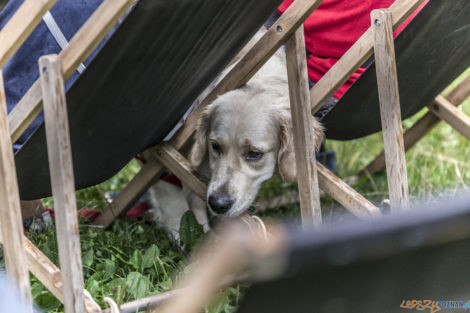 Solo Na Szelągu vol. 27: Namena Lala  Foto: lepszyPOZNAN.pl/Ewelina Jaśkowiak